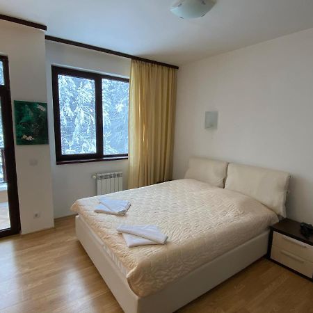 Charming Winter Studio Боровец Экстерьер фото