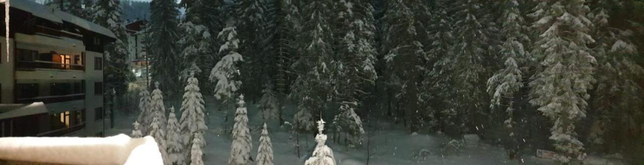 Charming Winter Studio Боровец Экстерьер фото