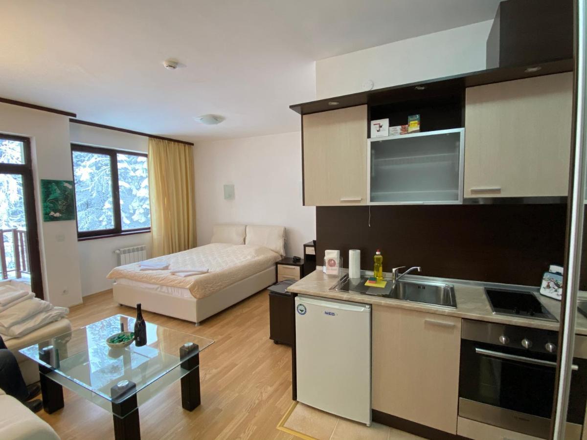 Charming Winter Studio Боровец Экстерьер фото
